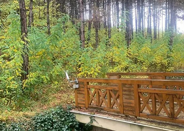 Sovirag エゲルサローク