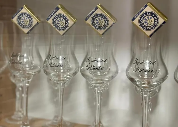 Sovirag アパート *